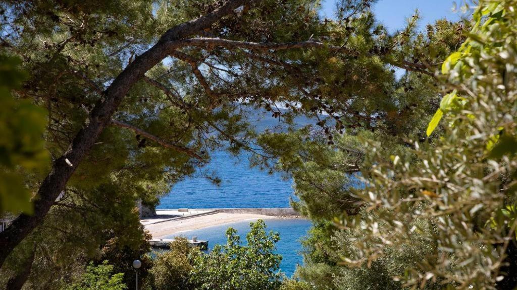 Rosmarin&olive Premium Mobile Homes * Selce